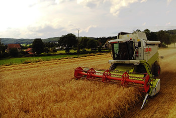 Lohndreschen mit CLAAS