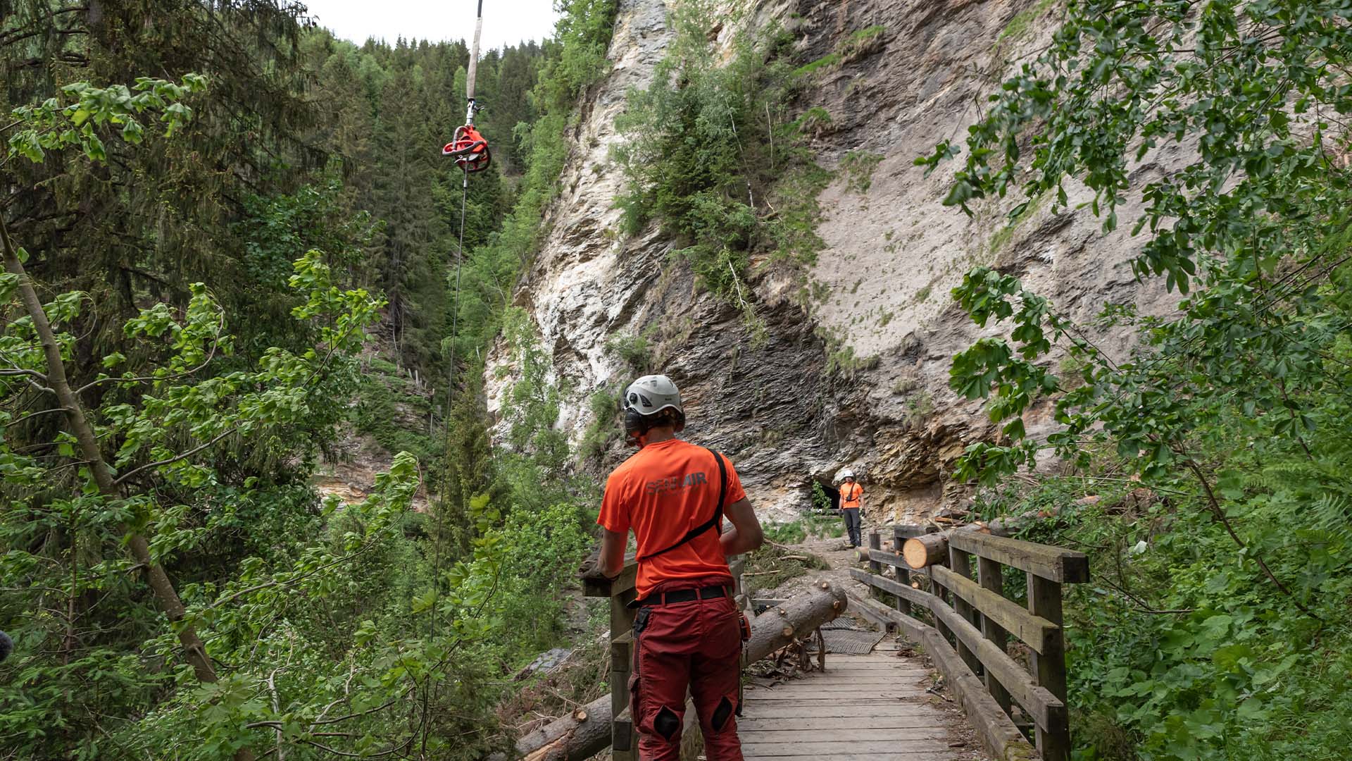 Heli-Logging