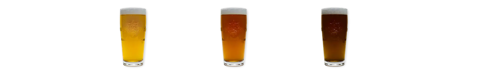 Pils und Altbier