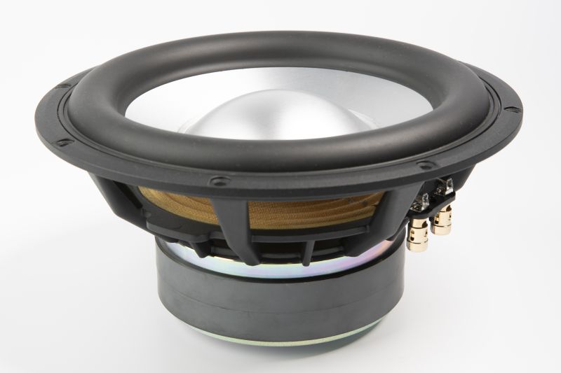 10FHW – 10" Subwoofer