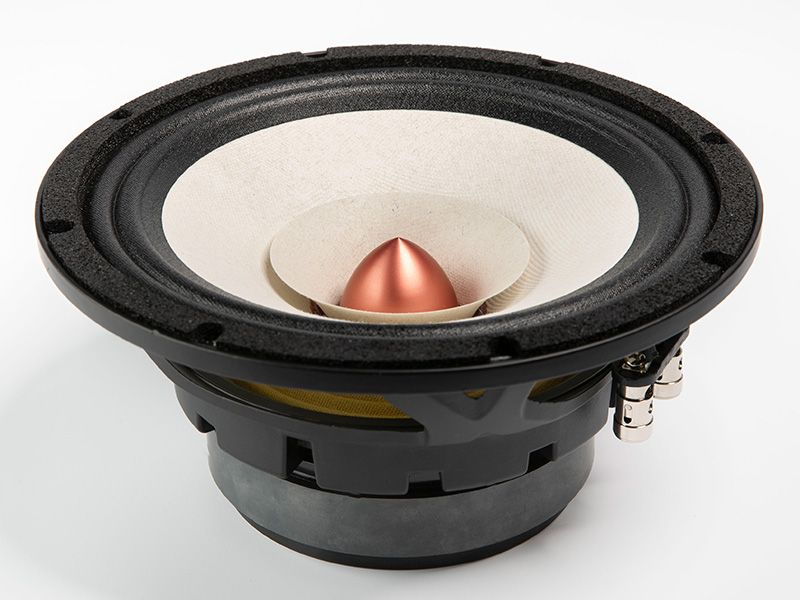 8FR – 8" Full-Range-Treiber
