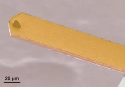 Conductive Trilayer Cantilever (SEM-Aufnahme)