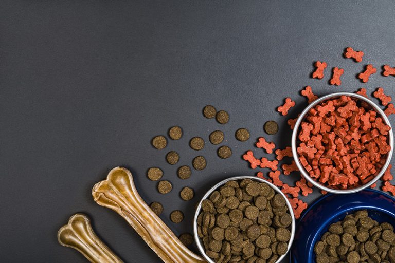 Röntgeninspektion von Petfood