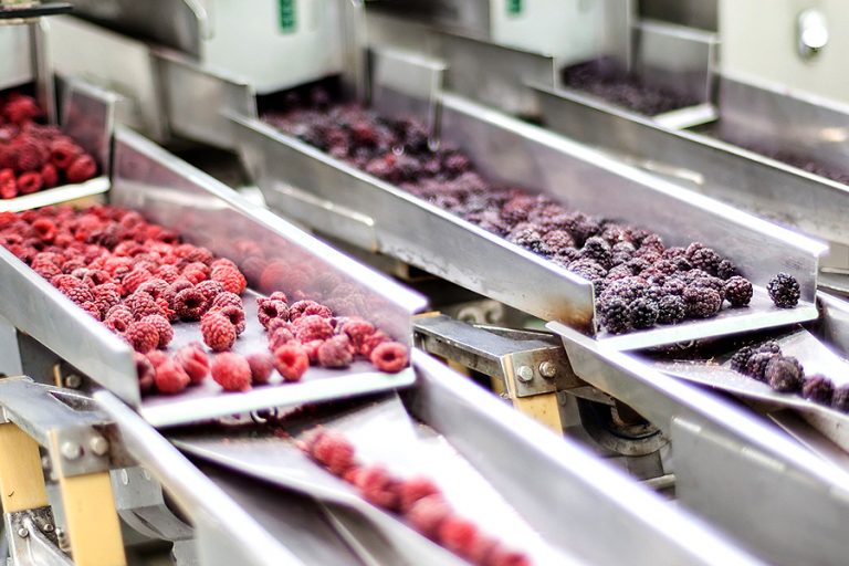 Röntgeninspektion tiefgekühlter Produkte