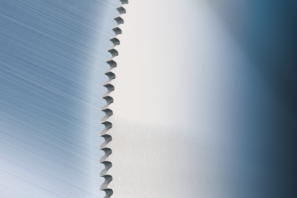 Segmentsägeblatt