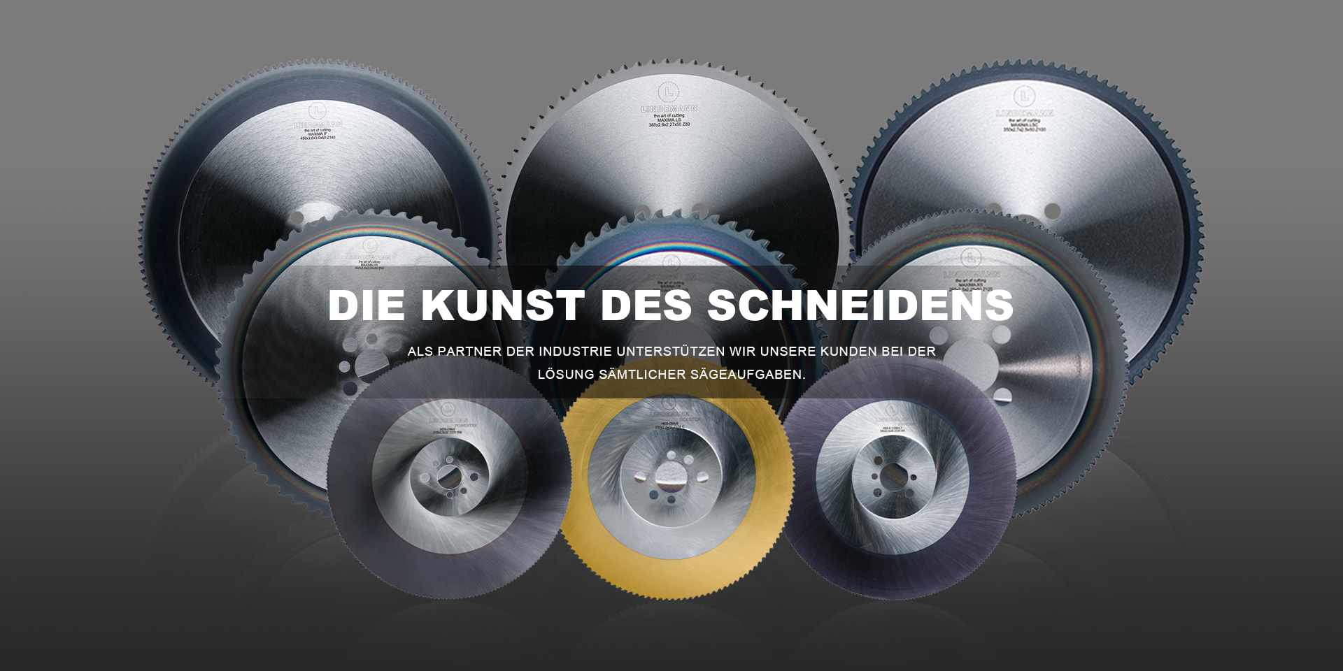 Dünnschnittsägeblatt (MAXIMA-Serie)