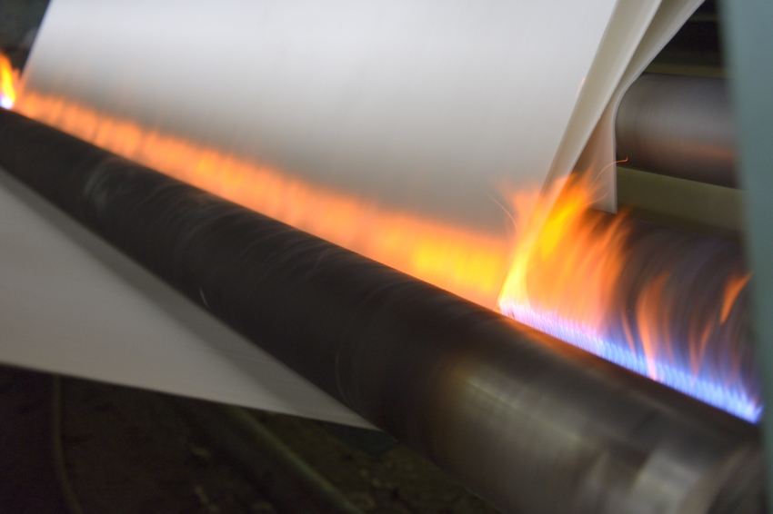 Pretreated fabric (singeing/singe)
