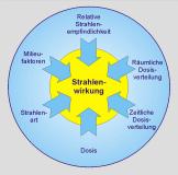 Strahlenbelastung - Messung und Bewertung