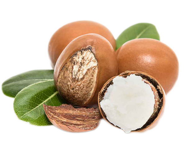 Shea Butter Seife