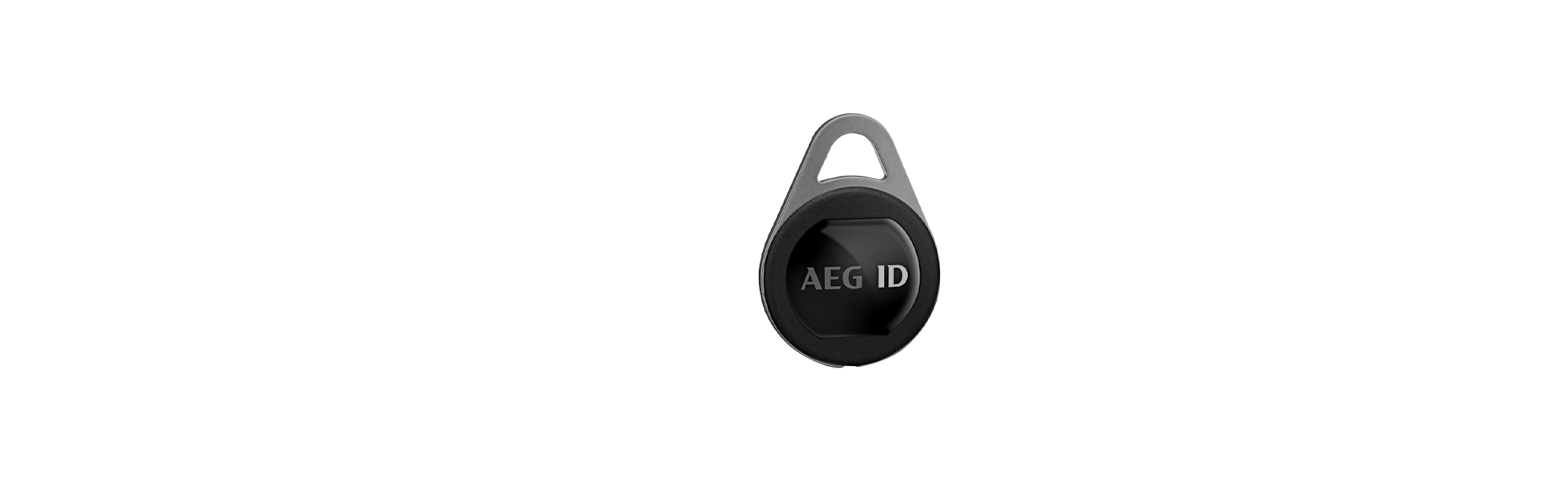 Sicherheit & Wegfahrsperren (Brick-Transponder, Keyfobs)