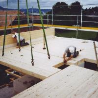 Deckenelemente