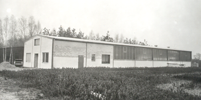 Erste Industriehalle, Seitenansicht (1971)
