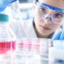 GMP-grade Cytokine & Proteine (RG → Clinical Manufacturing)