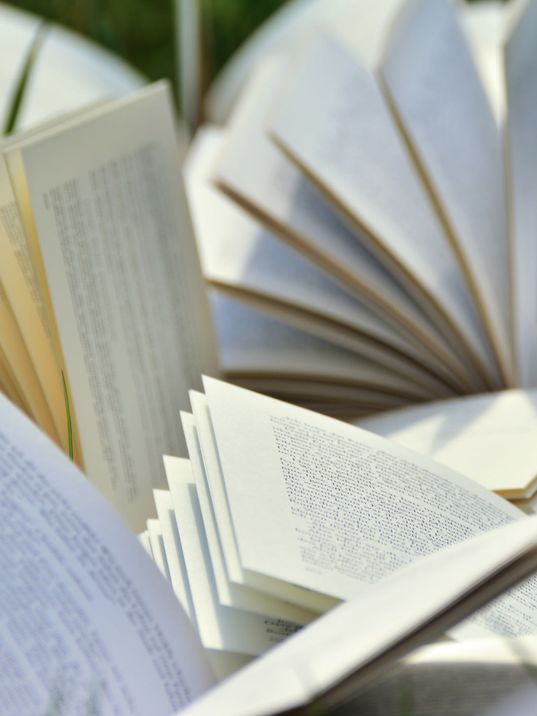 Netzwerke und Kooperationen
