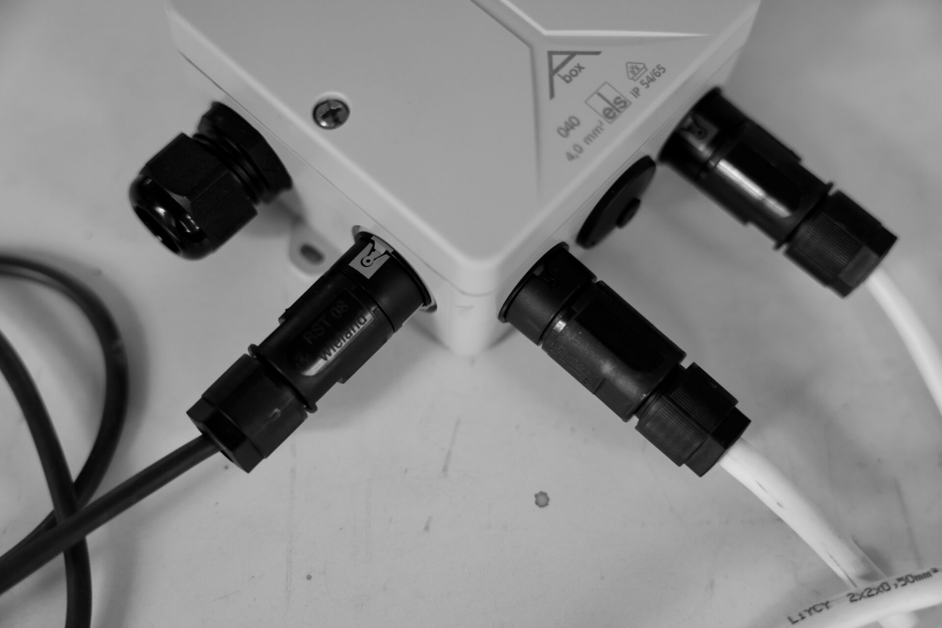 Umspritzter Stecker