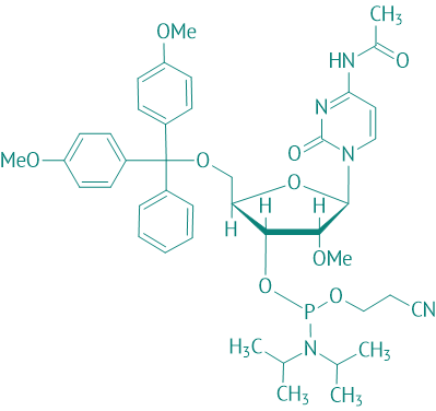 DMT-2'O-Methyl-rC(ac) Phosphoramidit, 95%