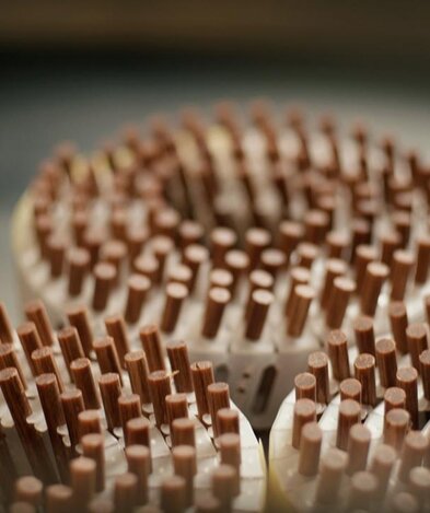 LIGNOLOC® Holznägel (Coil)