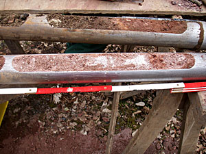 Bohrkerne