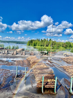 Montageprojekt Holzindustrie Finnland