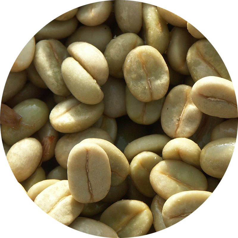 Parzellenrohkaffee