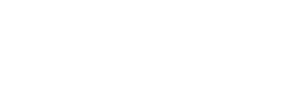 Logo Schmiede Digital – Maik Braun
