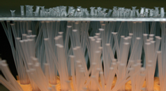 Brush technology made in Germany