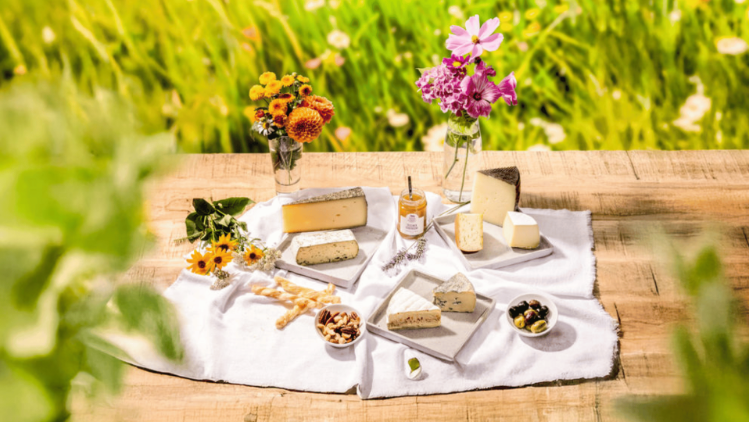 Frühlingskäseplatte mit Blumen auf einer Wiese
