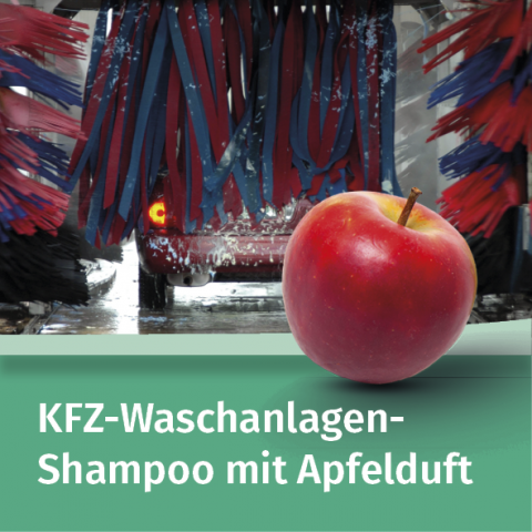 Washing system cleaner