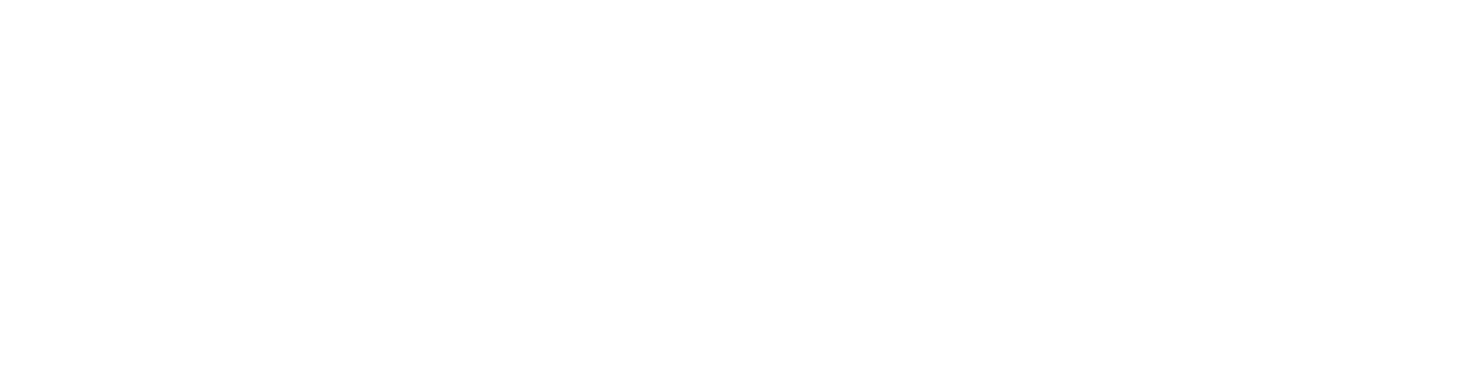 2Many Clothing Logo
