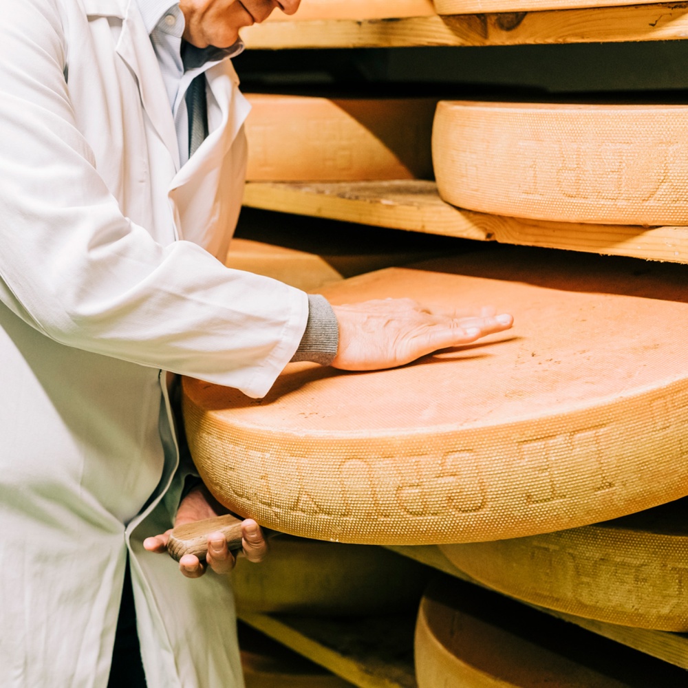 Cheese making