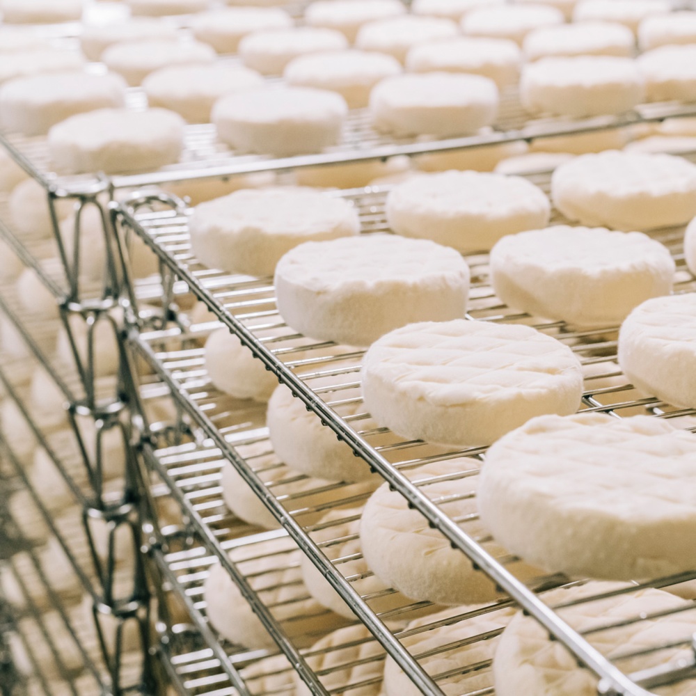 Semi-hard cheese (e.g. Tilsiter)