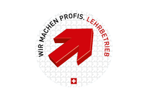 Lehrbetrieb für Automatiker