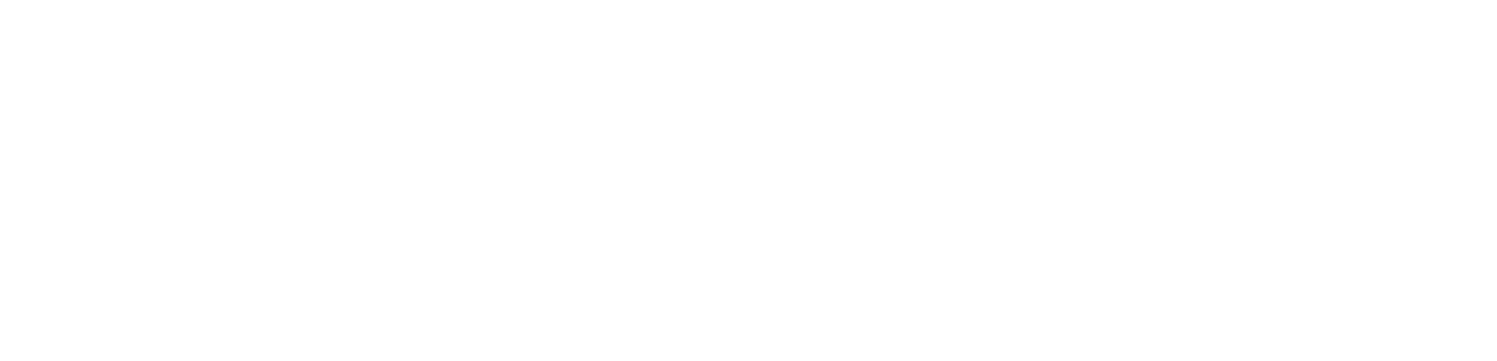 Logo asosystem AG