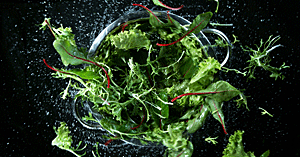 Wasch- und Schleudertechnik für Salat und Gemüse