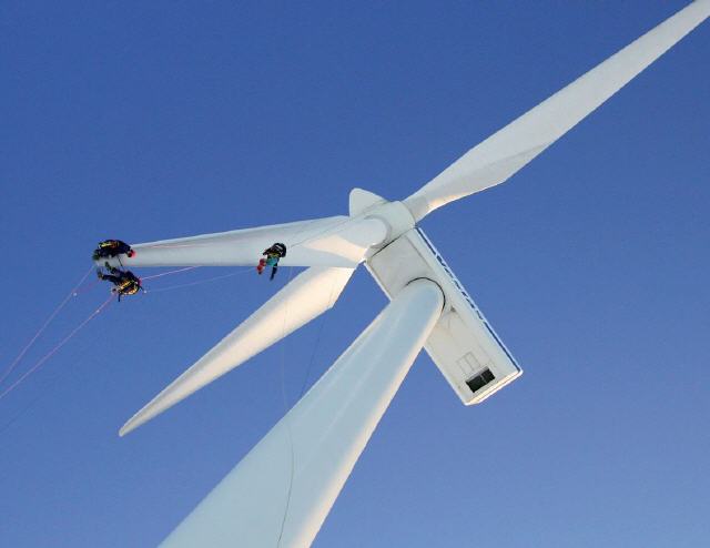 Rotorblatt