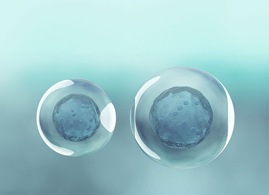 ATMP-Isolator (Cellana-M / pure²)