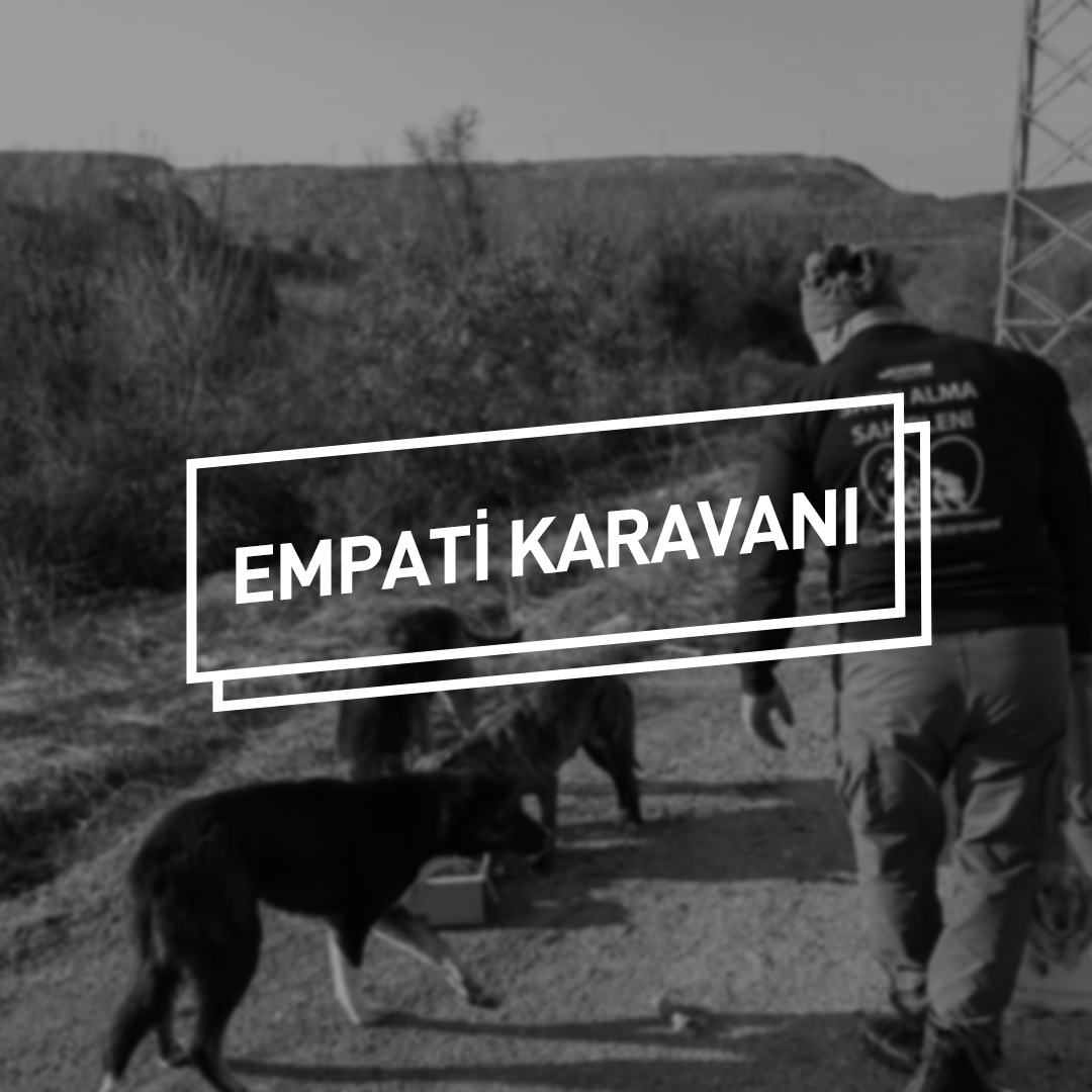 Empati