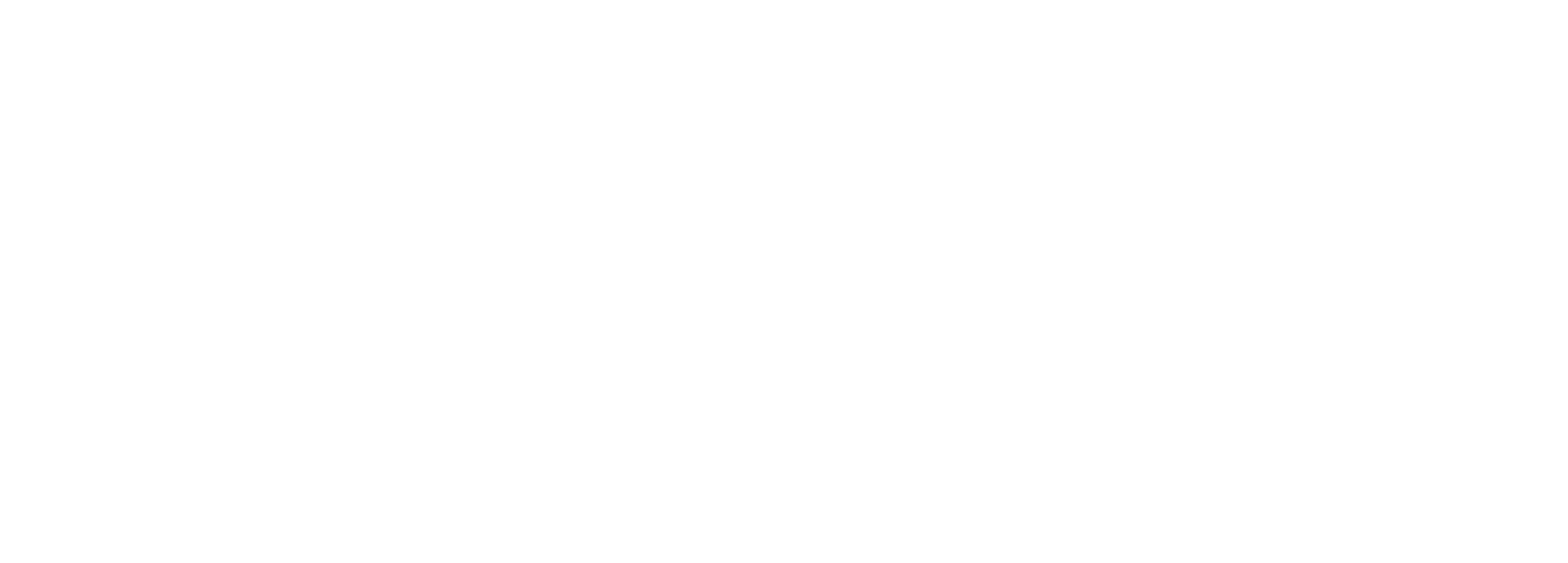 AAZYDEC Logo