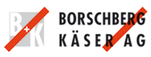 Logo Borschberg + Käser AG