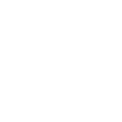 Logo Vald. Birn GmbH