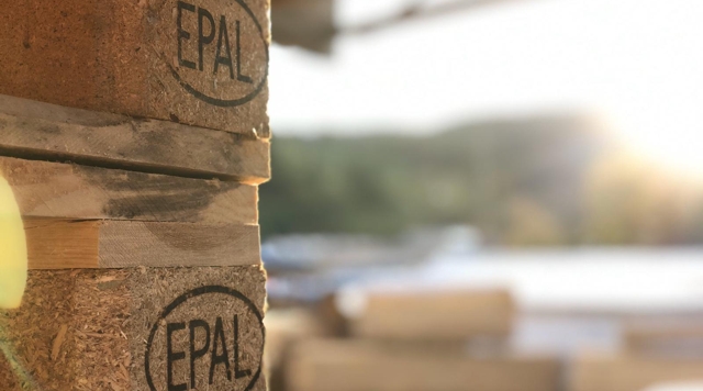 Europalette (gebraucht, Klasse A–C)