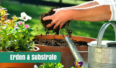 Erden und Substrate
