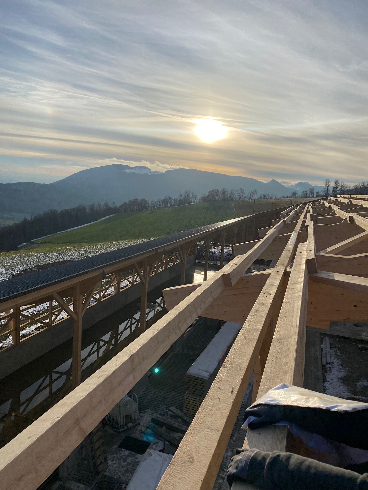 Projekt Holzbau