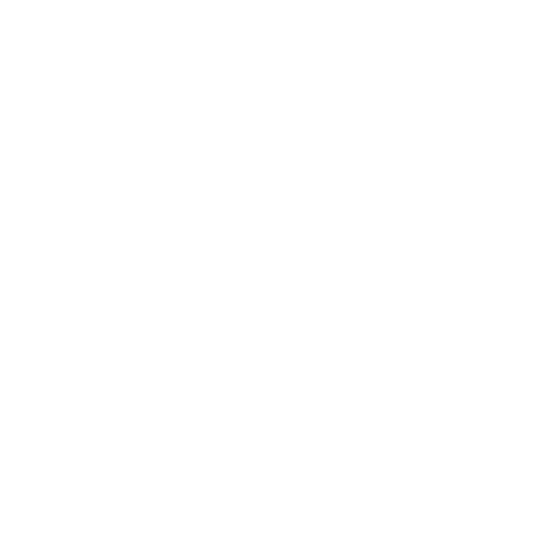 IT- & Digitalberatung