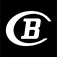 Bauknecht Logo