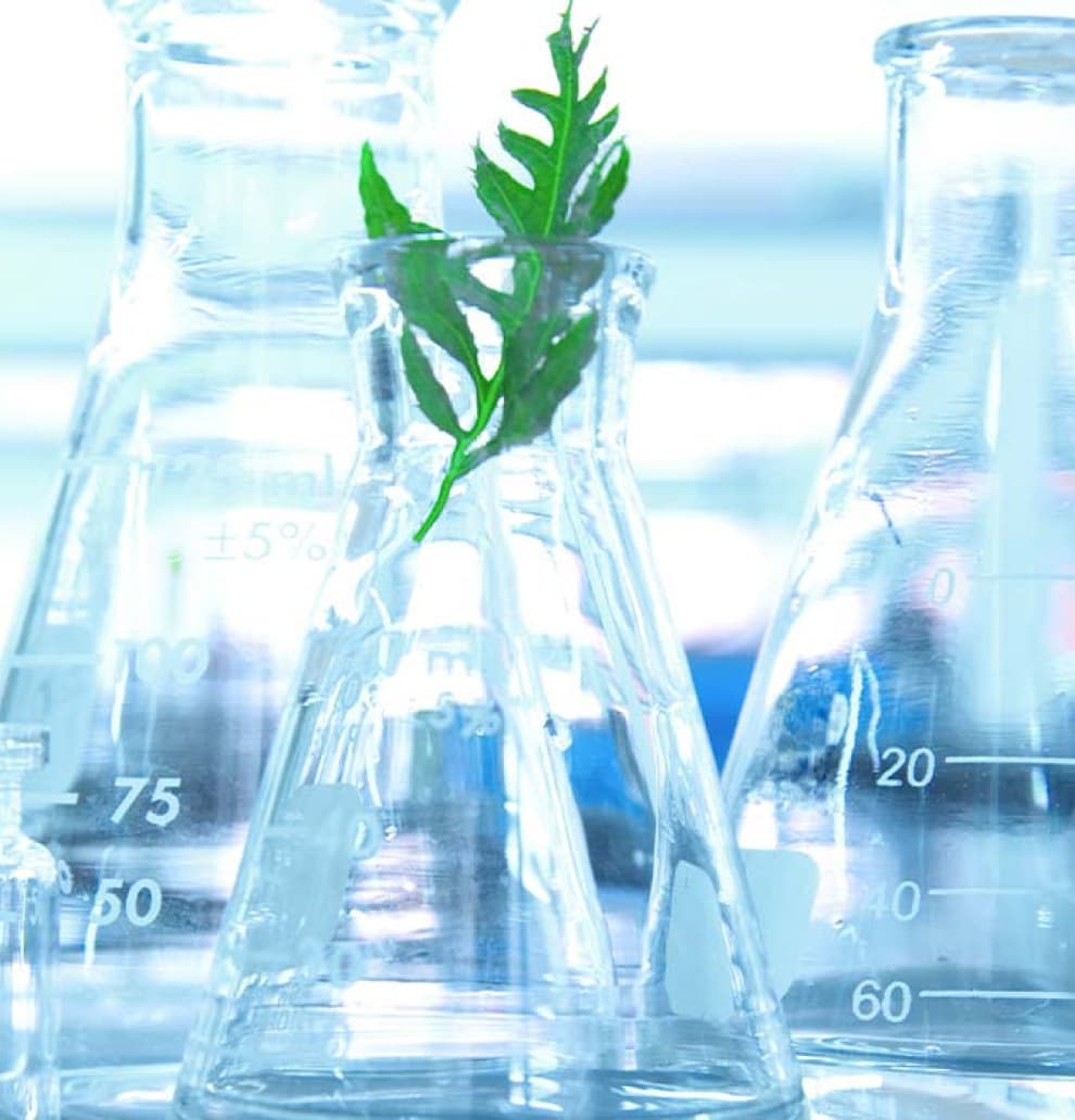 Environment & sustainability at KFB Surfaces