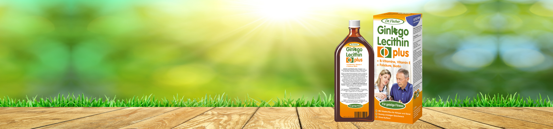 Ginkgo Lecithin plus