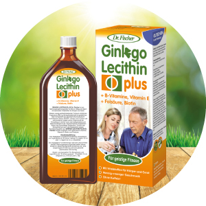 Ginkgo Lecithin plus