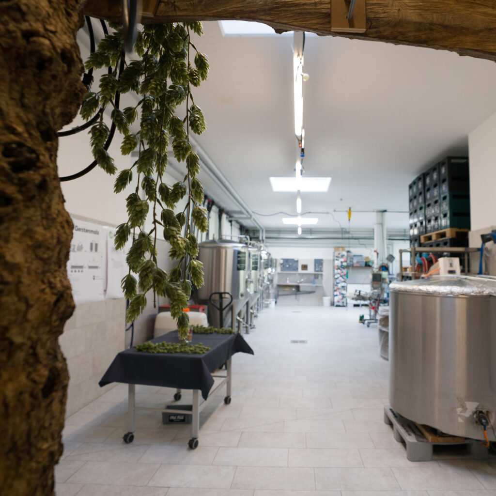 Degustation in der Brauerei