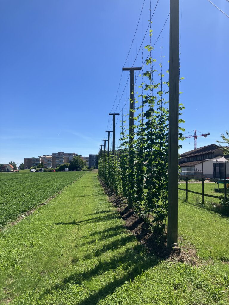 Impression aus der Brauerei